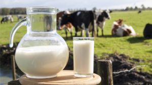Бизнес на деревенском молоке