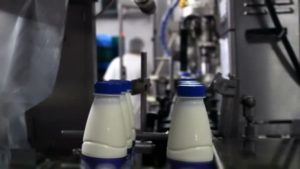 Как открыть бизнес по продаже молока в розлив