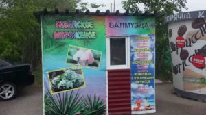Как продавать обыкновенный лед по цене пломбира: бизнес на гавайском мороженом