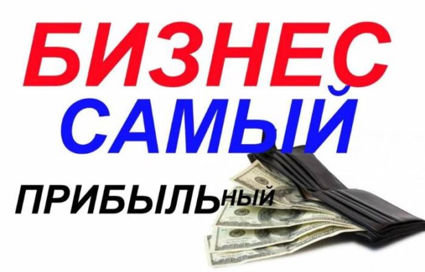 Какой бизнес самый прибыльный для начинающего в России — идеи и рекомендации