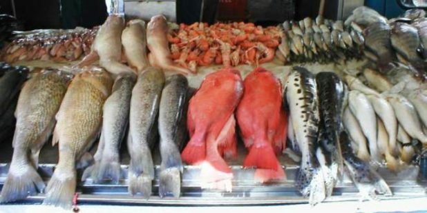 Как открыть рыбный магазин